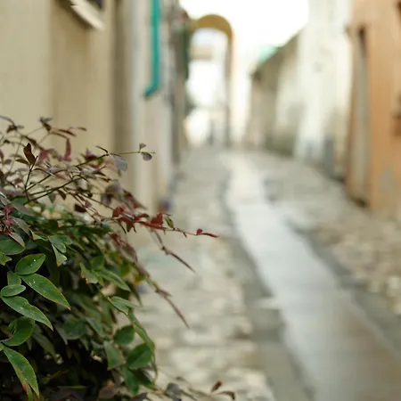 Fulginiae Foligno